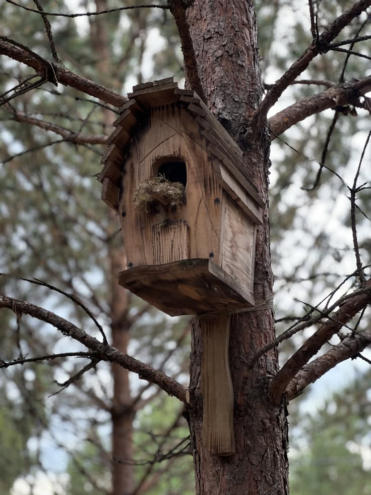 Bird House closeup detail 1